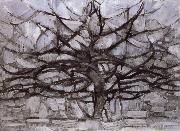 Piet Mondrian Grey tree oil painting reproduction